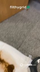 Nothing But78768768768 a Shit Eater 00002