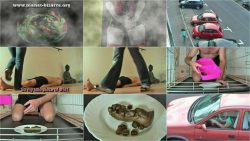 PLBZ - Lady Lina - the shit saleswoman.ScrinList