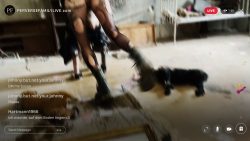 Perverse Family 56546456456456Live 1: Pissing Girlfriend 00000