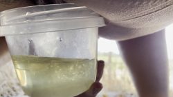 Piss on road76575677657 trip, slave drinks 00000 Piss on road76575677657 trip, slave drinks 00000