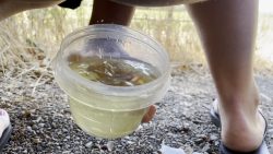 Piss on road76575677657 trip, slave drinks 00001 Piss on road76575677657 trip, slave drinks 00001