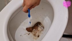 Toilet Aclogcalyp5646546456456se Disasters 00000 Toilet Aclogcalyp5646546456456se Disasters 00000