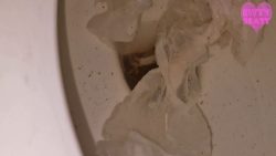 Toilet Aclogcalyp5646546456456se Disasters 00002 Toilet Aclogcalyp5646546456456se Disasters 00002