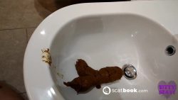 Toilet poop Huge dump in bidet soiling th45354545345e fancy hotel further 00001