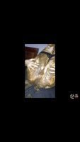 WeLoveShit - Partial 00003