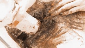 2021.08.25 QS - Hairy Poo 00002