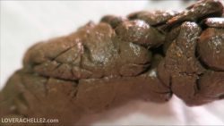 Lick My Huge Turd With Me 00001