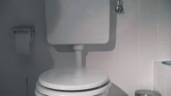 96 Big67675567 toilet turd! 00002