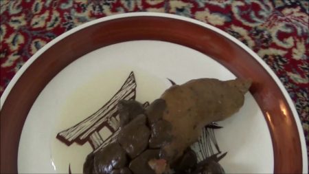 Tegan_-_Poop_on_a_Plate.00004.jpg