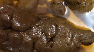 Big thick poop and bright yellow pee in a bowl - My nice wide load comes out in 2 parts - Prepping my load on a plate for you 00000 Big thick poop and bright yellow pee in a bowl - My nice wide load comes out in 2 parts - Prepping my load on a plate for you 00000