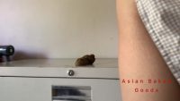 Maid cleans, cums, shits and cleans & Naked cooking Orange Chicken and shitting & Youtuber Documents 3 shits after squidink dinner 00000 Maid cleans, cums, shits and cleans & Naked cooking Orange Chicken and shitting & Youtuber Documents 3 shits after squidink dinner 00000