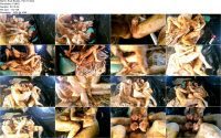 Scat Beasts. Part 10.ScrinList Scat Beasts. Part 10.ScrinList