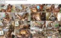 Skinny Red Head Top Amateur Scat And Pee By Top Russian Model Jelena Part 4.ScrinList Skinny Red Head Top Amateur Scat And Pee By Top Russian Model Jelena Part 4.ScrinList