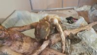 Skinny Red Head Top Amateur Scat And Pee By Top Russian Model Jelena Part 4 00000 Skinny Red Head Top Amateur Scat And Pee By Top Russian Model Jelena Part 4 00000