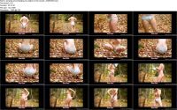 pooping-and-changing-my-diaper-in-the-woods_10093508.ScrinList pooping-and-changing-my-diaper-in-the-woods_10093508.ScrinList
