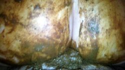 dirtyamateurs – amateur shit on dick and ass fuck 00001 dirtyamateurs – amateur shit on dick and ass fuck 00001