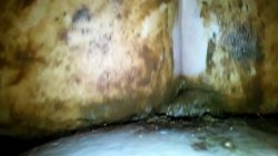 dirtyamateurs – amateur shit on dick and ass fuck 00002 dirtyamateurs – amateur shit on dick and ass fuck 00002